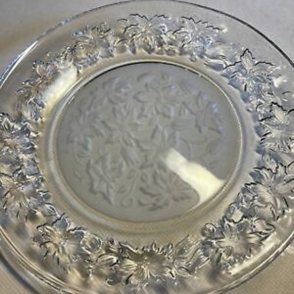 Set of 4 Princess House Plates New